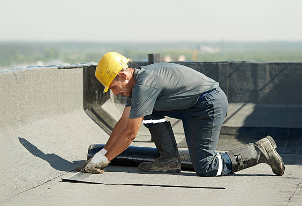 Best Insulation Installation Services in Black Hammock, FL